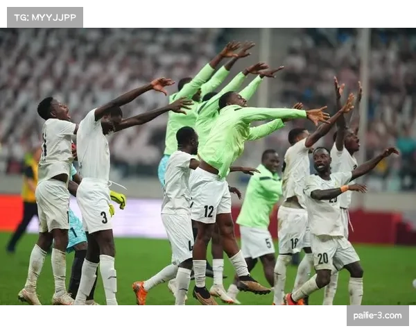 足球产业资本流动方向调整 新兴市场投资吸引力因世界杯席位获增强